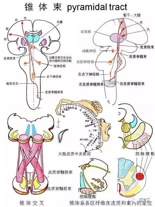 澳门威威尼斯welcome